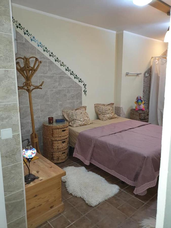 Casa Alex Villa Guardamar del Segura Eksteriør billede