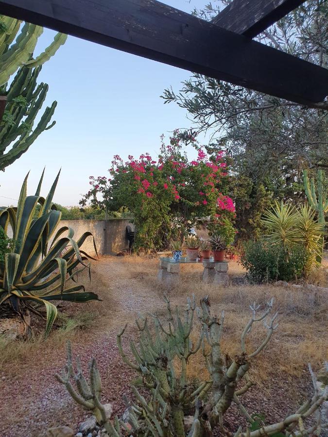 Casa Alex Villa Guardamar del Segura Eksteriør billede