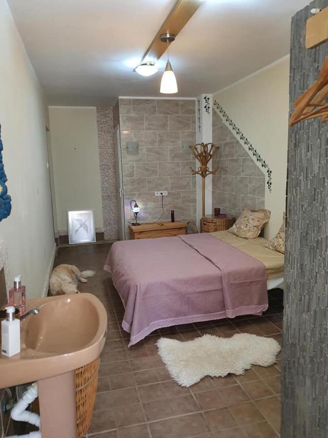Casa Alex Villa Guardamar del Segura Eksteriør billede