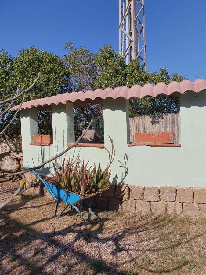 Casa Alex Villa Guardamar del Segura Eksteriør billede