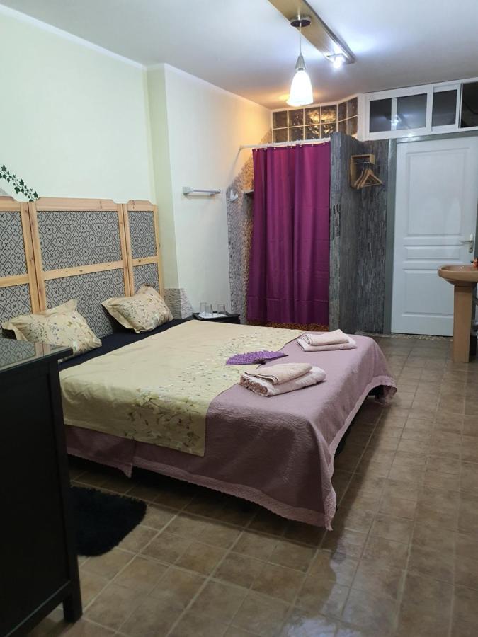 Casa Alex Villa Guardamar del Segura Eksteriør billede